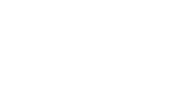 Dusky Grouper