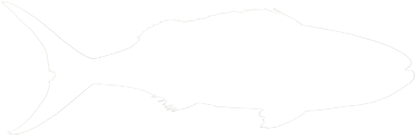 Jobfish
